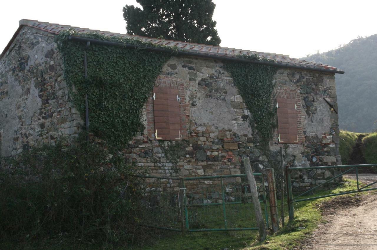 Farmhouse Tuscany Montecastelli Pisano ภายนอก รูปภาพ