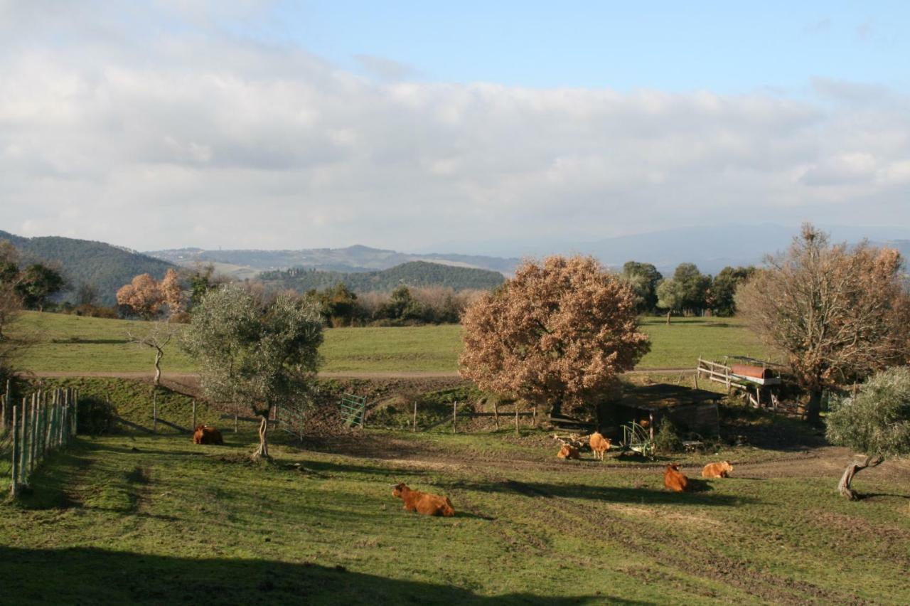 Farmhouse Tuscany Montecastelli Pisano ภายนอก รูปภาพ