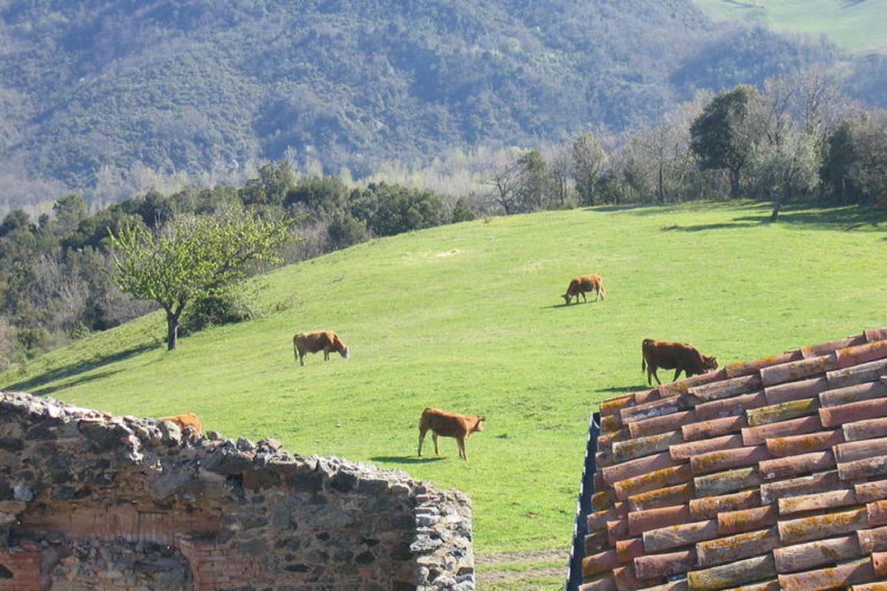 Farmhouse Tuscany Montecastelli Pisano ภายนอก รูปภาพ